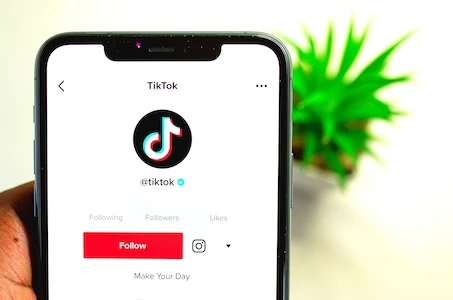 eliminare video da TikTok