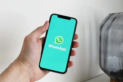 sondaggi su whatsapp