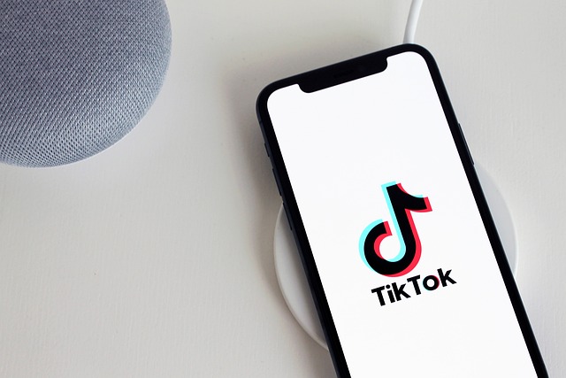 albania blocca tiktok